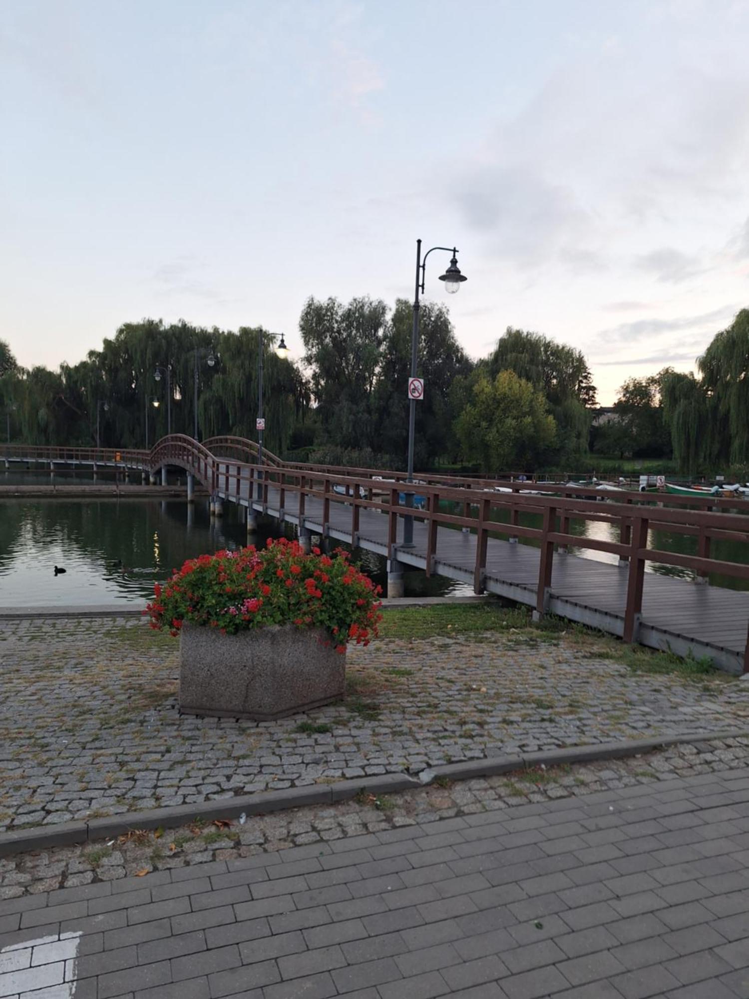 Apartament Chełmża Buitenkant foto